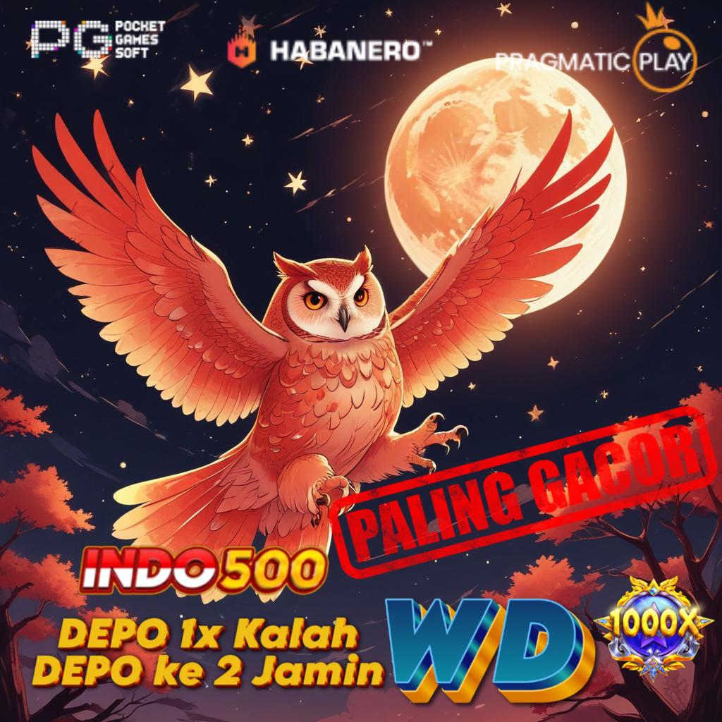 DATA HK 6D MASTER Depo 5k